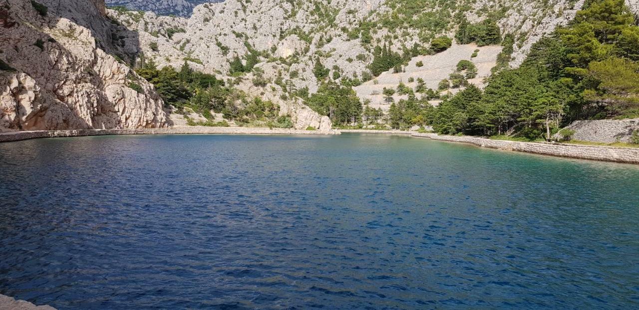 Apartment Danijela Senj  Dış mekan fotoğraf