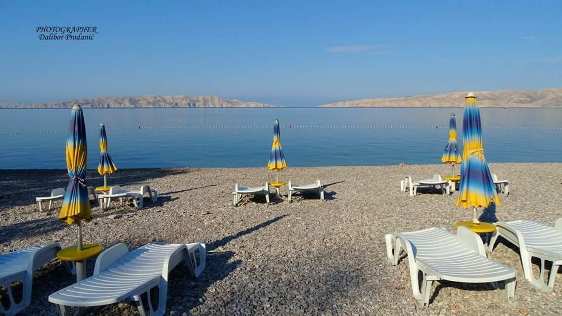 Apartment Danijela Senj  Dış mekan fotoğraf
